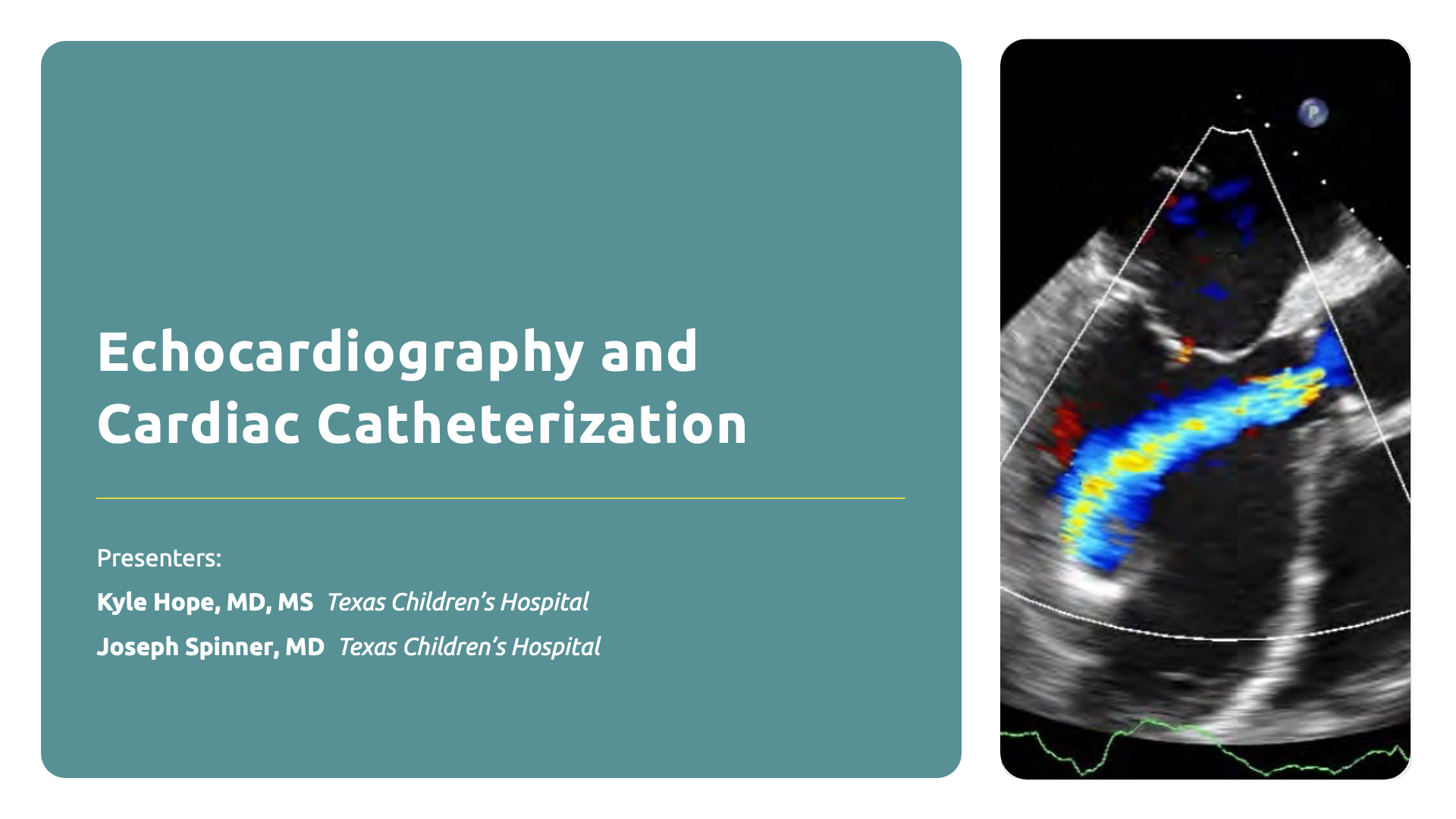 IRLHM3_4_EchoCardiacCath IRLHM3_4_EchoCardiacCath